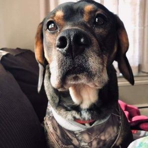 Meet your Posher, Arianna